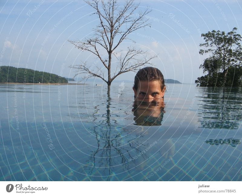 meer sehen Thailand Schwimmbad Baum Reflexion & Spiegelung Ferien & Urlaub & Reisen Meer underwater Surrealismus blau Wasser Fliesen u. Kacheln blue ocean