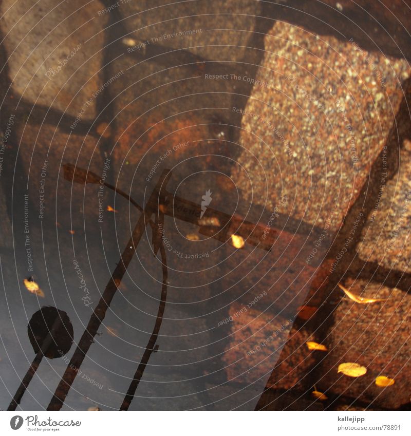 himmel über berlin VII Straßennamenschild Pfütze Reflexion & Spiegelung Laterne Lampe Blatt Regenwasser Stein Strommast Wasser Kopfsteinpflaster kallejipp