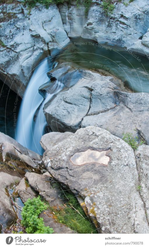 Schröder heult, Hai grinst Umwelt Natur Landschaft Sträucher Felsen Flussufer Bach Wasserfall nass Felswand Gesteinsformationen Schlucht Felsspalten