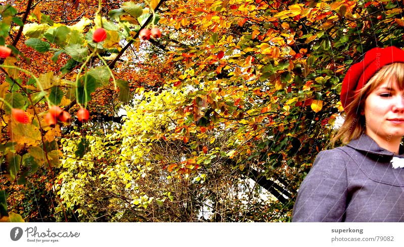009 Frau Rotkäppchen Baum Blatt Herbst Einsamkeit Denken Schüchternheit Fröhlichkeit verträumt Porträt Feld Stil Naturliebe Dame Mitgefühl Flüchtiger Blick
