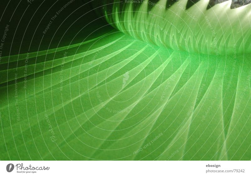 grüner glanz Muster Zauberei u. Magie Reflexion & Spiegelung glänzend Licht dunkel Detailaufnahme Farbe Strukturen & Formen Beleuchtung Schatten hell