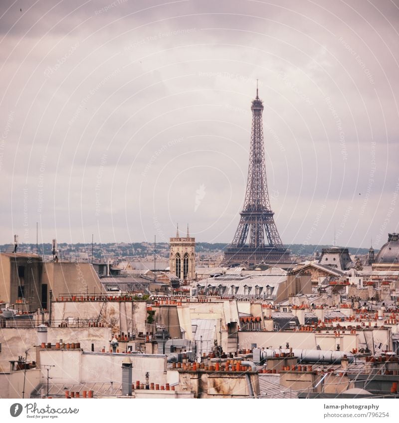 Über den Dächern von Paris Ferien & Urlaub & Reisen Tourismus Sightseeing Städtereise Frankreich Europa Stadt Hauptstadt Stadtzentrum überbevölkert Haus Bauwerk