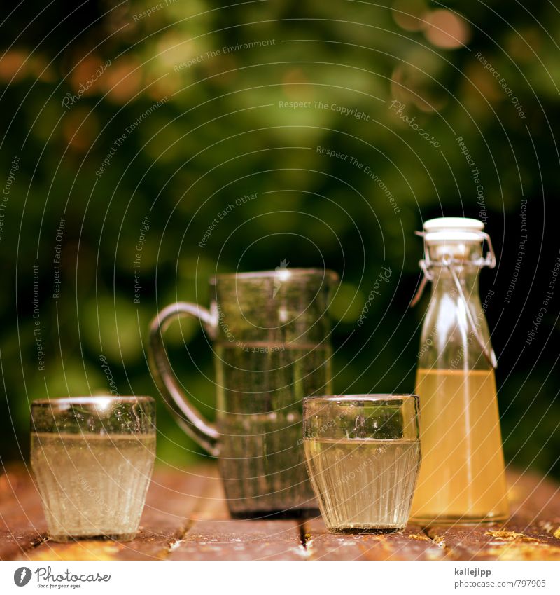 so schmeckt der sommer Getränk Erfrischungsgetränk Trinkwasser Saft Duft Holunderbusch holundersirup Sirup Glas Flasche Krug Tisch Moos Flüssigkeit Grünpflanze