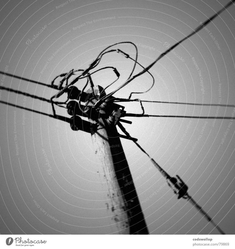 crossed wires Verbundenheit Chatten Freizeichen Spannung Fernschreiber schwarz weiß Telefonmast Kommunizieren to good übertragungsweg telegraph pole talk
