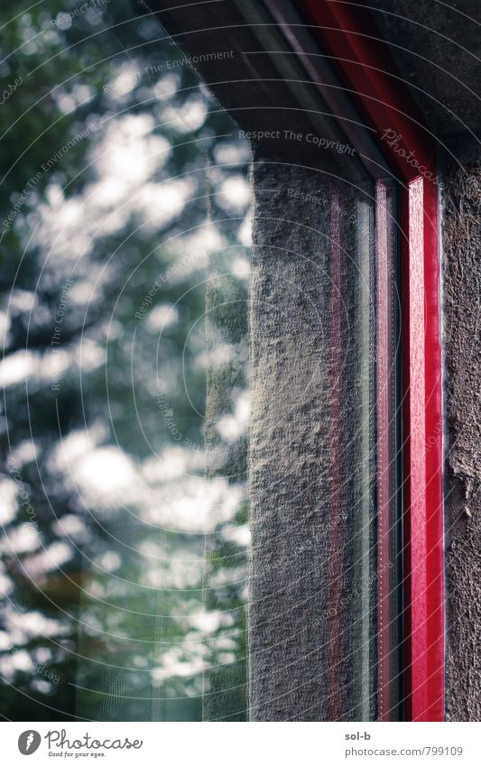 Garten/Haus Stil Design harmonisch Häusliches Leben Natur Baum Fenster Fensterrahmen Glas einfach natürlich grün rot Ecke Fensterscheibe Illusion Farbfoto