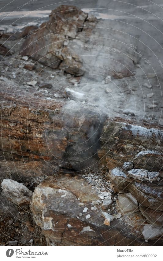 Geysers de Tatio I Umwelt Natur Landschaft Urelemente Erde Feuer Luft Wärme Vulkan außergewöhnlich Duft dunkel kalt natürlich schön Geysir Farbfoto