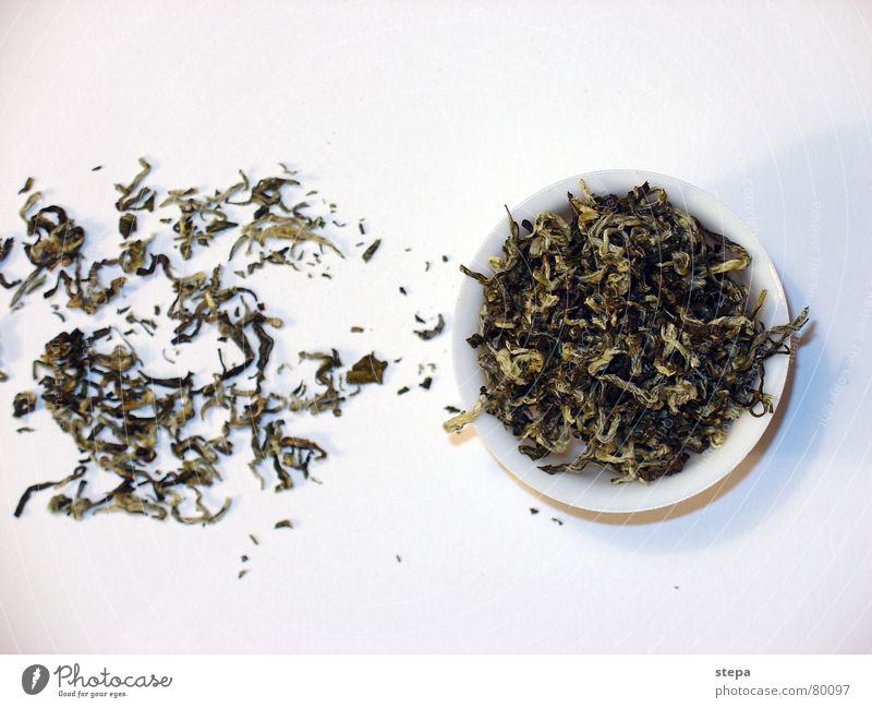 weißer Tee Teekultur Teepflanze Teedose Chinesisch China teebaum chinesischer tee china tee weis weisser tee teebüchse reich der mitte