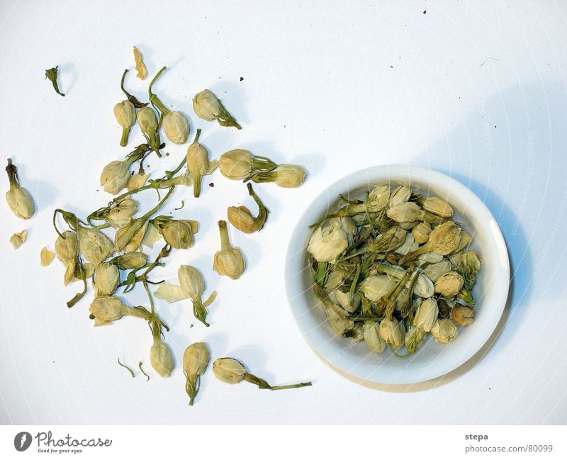 Jasminblüten Tee ursprünglich weiß Chinesisch China Originalität Teepflanze Teekultur Teedose Vegetarische Ernährung jasmin tee jasminblüten tee jasminblütentee