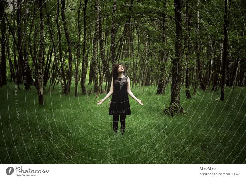 Erleuchtung auf der Lichtung Ausflug Abenteuer Junge Frau Jugendliche Körper 18-30 Jahre Erwachsene Pflanze Baum Gras Sträucher Wald Waldlichtung Kleid brünett