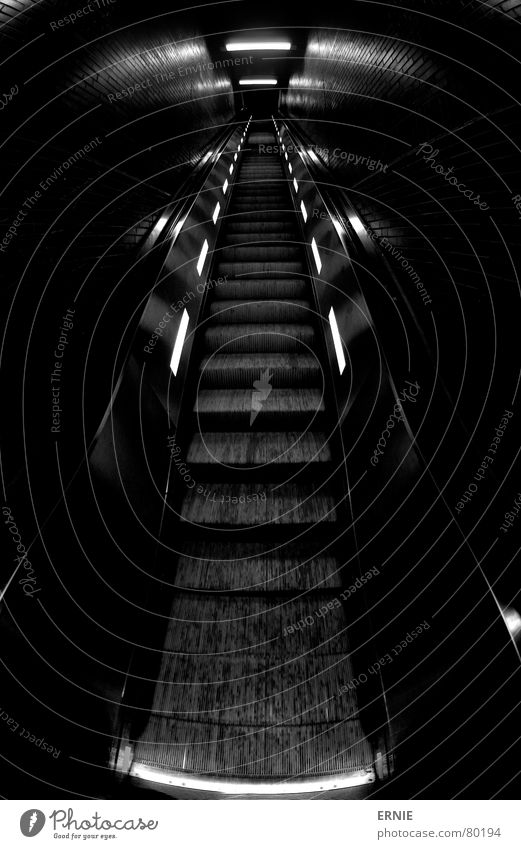 aufauf und davon Rolltreppe Ferne wellig Gummi Lampe Ordnung schwarz dunkel Köln nah Fischauge grell Station aufsteigen Bahnhof Geländer Schnur Licht Riffel