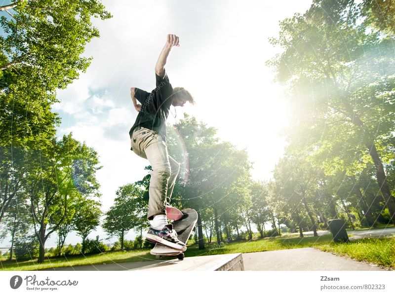 FLIP IT Lifestyle elegant Stil Sommer Skateboarding Funsport Junger Mann Jugendliche 18-30 Jahre Erwachsene Himmel Wolken Schönes Wetter Baum Sträucher T-Shirt