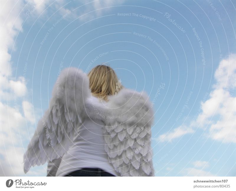 himmel auf erden Wolken Schutz Frieden Spannweite beschirmen Engel blau Himmel Flügel Mensch Paradies