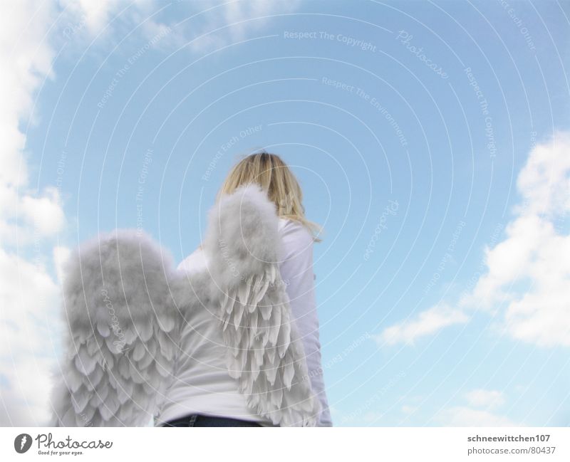himmel auf erden 2 Verantwortung Wolken Schutz Spannweite bewachen Engel Frieden Vogelperspektive Flügel fliegen blau Mensch Himmel thronhimmel gottesbote obhut