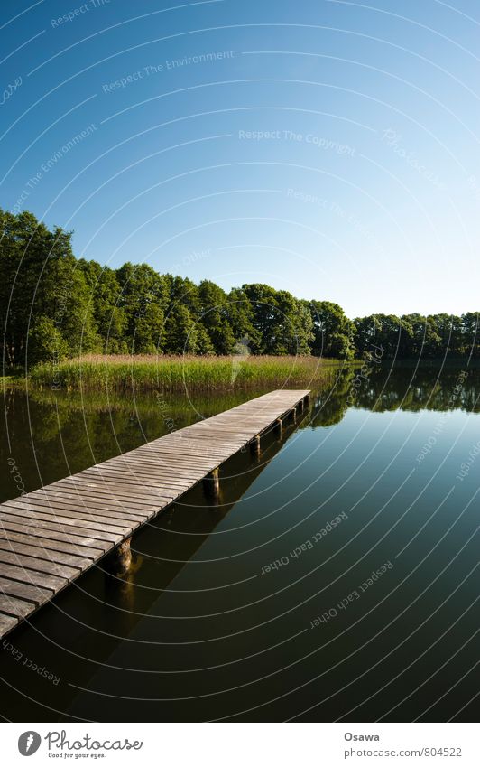 Steg See Wasser Holz Himmel Baum Natur Reflexion & Spiegelung Ferien & Urlaub & Reisen Erholung ruhig Schwimmen & Baden Ausflug Textfreiraum oben