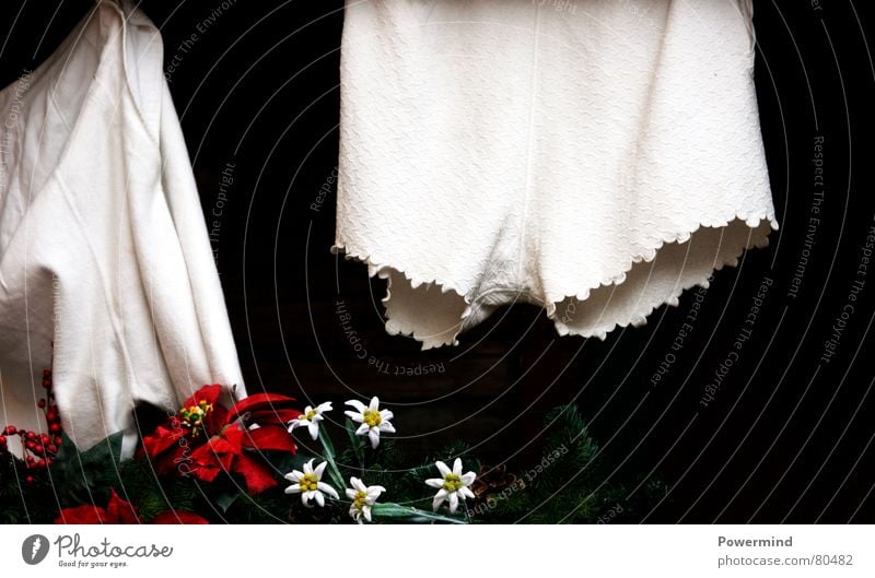Heidi`s Schlüpfer Unterhose Unterwäsche Nostalgie Tracht Wäsche aufhängen trocknen Waschtag Wäscheleine bleich Baumwolle weiß Frauenunterhose