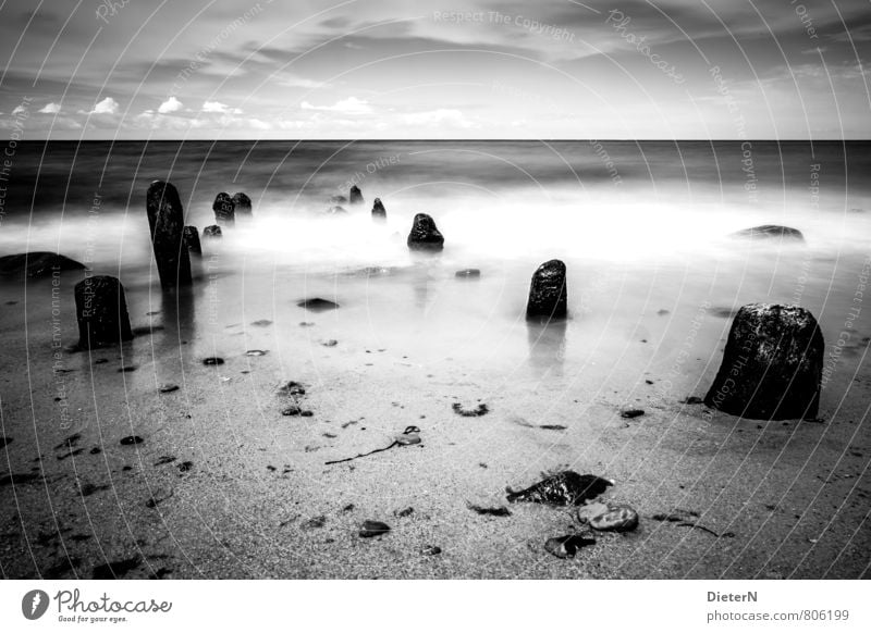Strand Landschaft Sand Wasser Himmel Wolken Horizont grau schwarz weiß Meer Buhne Stein Ostsee Schwarzweißfoto Menschenleer Textfreiraum oben Textfreiraum unten