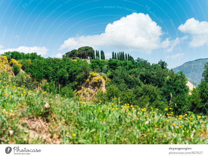 Toskanische Landschaft Sommer Haus Natur Baum Wiese Hügel Straße grün geheimnisvoll Idylle Toskana Italien Italienisch Bauernhof Feld ländlich toskanisch