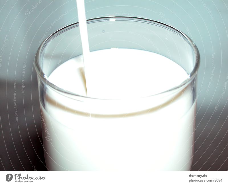Drink Milk ! Milch lecker Gesundheit Makroaufnahme Nahaufnahme weis kaz