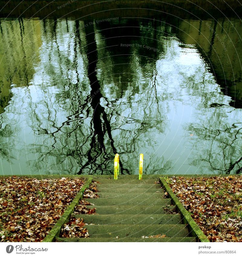 Poolparty Blatt Reflexion & Spiegelung Herbst kalt Neukölln Wasser frisch Treppe Leiter Freibad abwärts Wasserspiegelung Spiegelbild Verzerrung Bildaufbau
