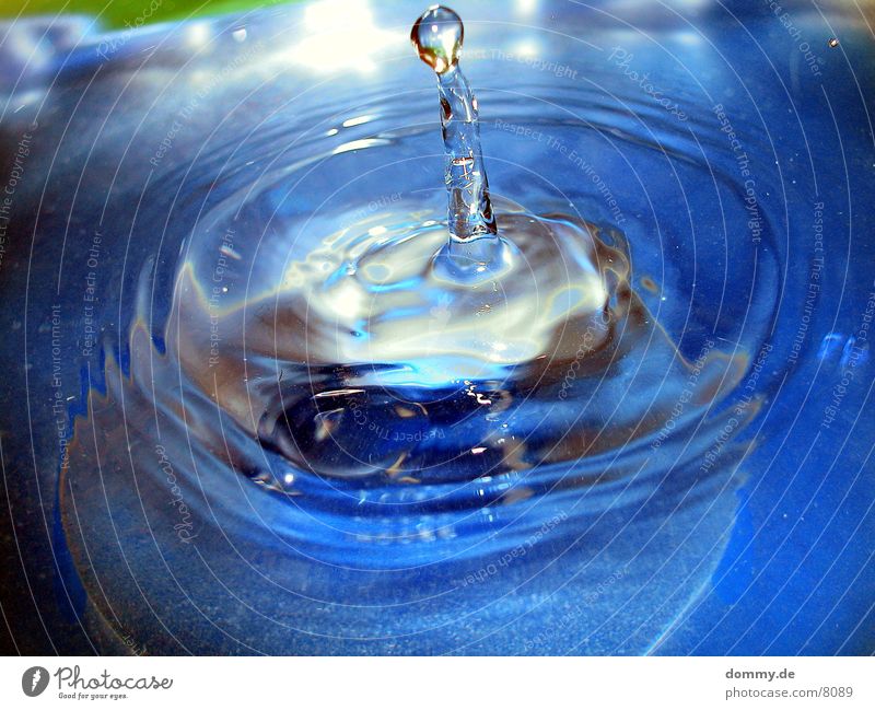 Säule spritzen Makroaufnahme Nahaufnahme Wasser blau Verschluss Baumkrone kaz