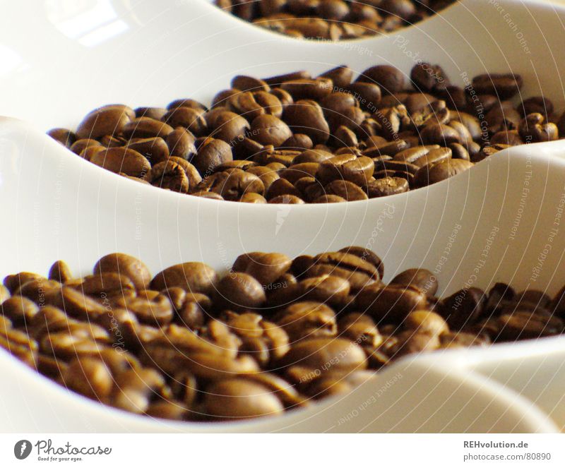 kalter kaffee 1 Bohnen braun Physik lecker wach Koffein Kaffeebohnen geröstet dosierung Schalen & Schüsseln Wärme
