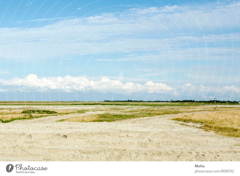 Weites Land und weite See Umwelt Natur Landschaft Sand Himmel Wolken Gras Wiese Küste Nordsee Ferne natürlich blau Erholung Horizont ruhig weitläufig Farbfoto