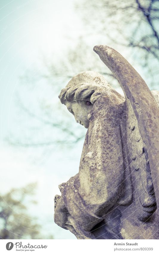 Engel von hinten Skulptur Frühling Park ästhetisch authentisch dreckig fest retro trist Stimmung Traurigkeit Senior Einsamkeit geheimnisvoll Glaube