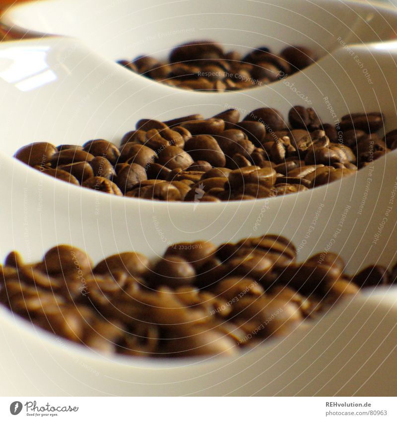 kalter kaffee 3 Bohnen braun Physik lecker wach Koffein Kaffeebohnen Café geröstet dosierung Schalen & Schüsseln Wärme käffchen