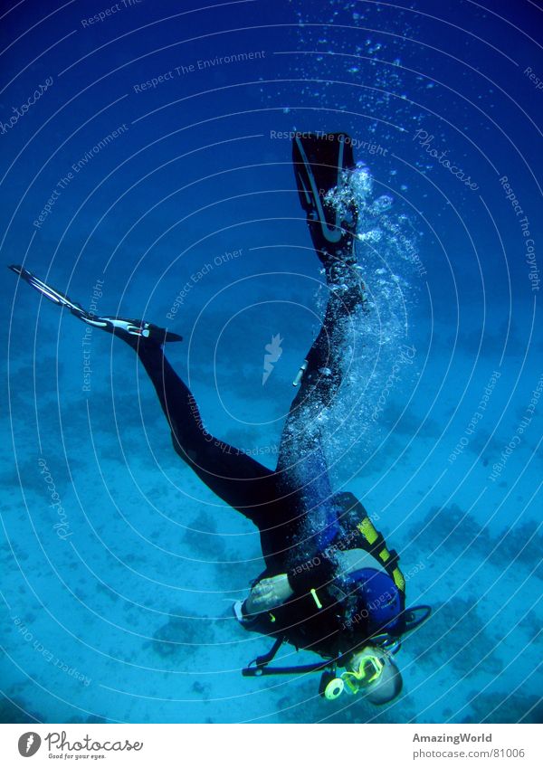 Chill out Wassersport Unendlichkeit Taucher tauchen Meer Ägypten wiederkommen Kopfstand Freude Unterwasseraufnahme blau tief Freiheit fun