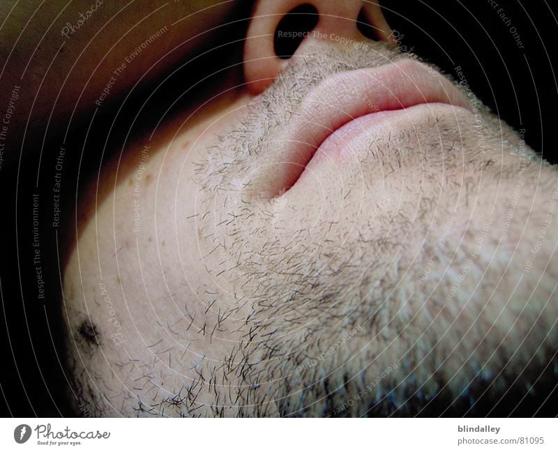 ChillOut Digitalkamera Bart schlafen ruhig Mann Innenaufnahme Makroaufnahme Nahaufnahme Gesicht Mund liegen Perspektive Schatten Haut Nase