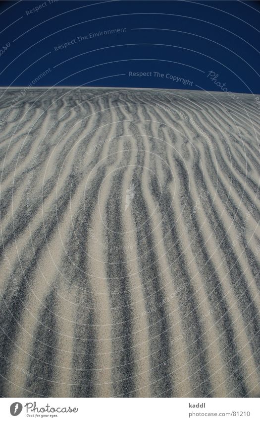 Dünenwanderer 2 schwarz heiß trocken Muster Australien Fraser Island Wüste schwarzer sand sandmuster Sand Stranddüne dünn