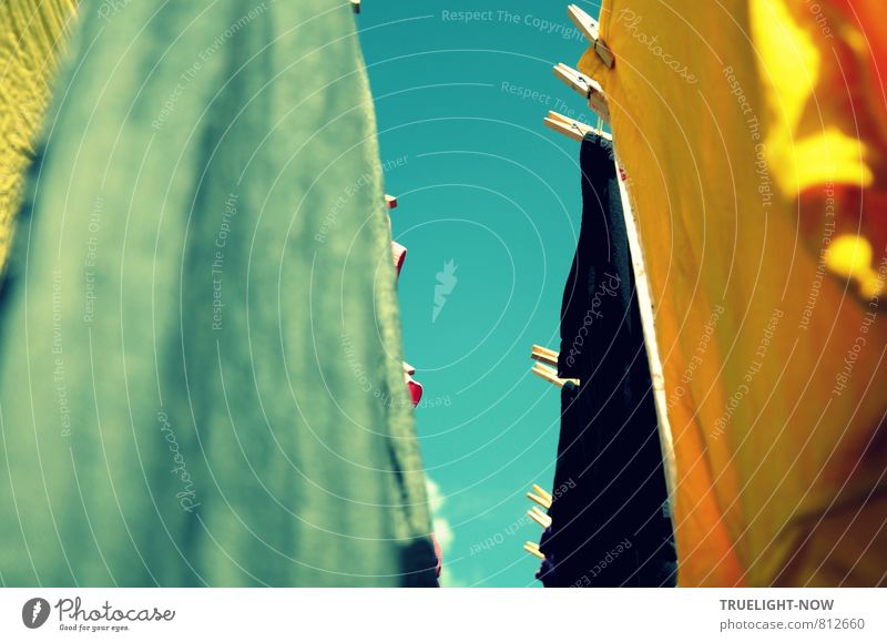 Luftgetrocknet 2 Gesundheit Häusliches Leben Wohnung Garten Wäsche Wäscheleine Wäscheklammern Natur Himmel Sonne Sommer Schönes Wetter Wind Wärme Bekleidung