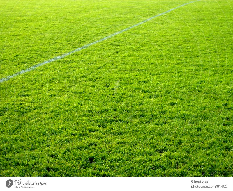 Grüner geht es nicht ;) Sport grün Linie Feld mehrfarbig Spielen Ballsport Farbe gras. grün sportliches Fußball