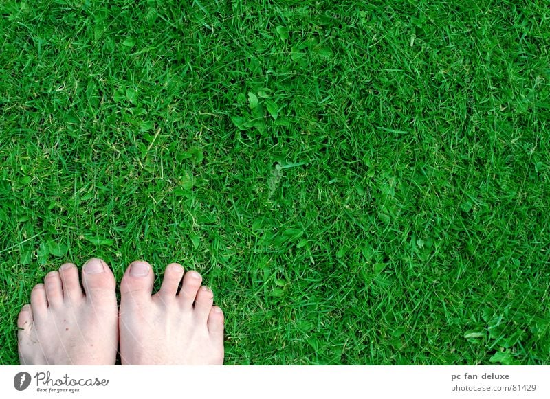 Grüne Füße schreiten grün Zehen Gras Fuß Rasen Barfuß