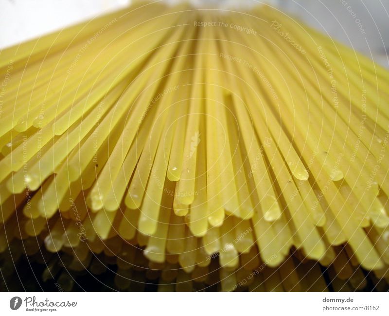 unendliche Weiten Spaghetti Nudeln lecker Gesundheit hartweizen