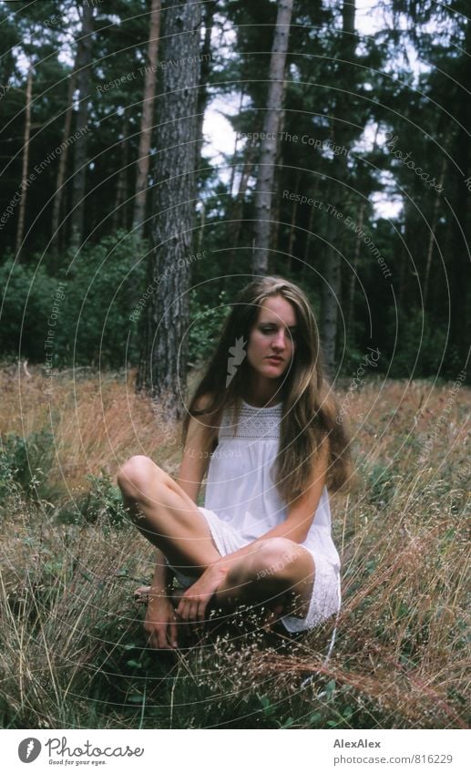 leise Junge Frau Jugendliche Körper 18-30 Jahre Erwachsene Schönes Wetter Baum Gras Sträucher Wald Waldlichtung Kleid brünett langhaarig hocken sitzen