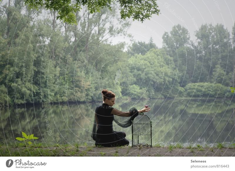 Shabby Chic Ausflug Ferne Freiheit Mensch feminin Frau Erwachsene 1 Umwelt Natur Landschaft Wasser Himmel Pflanze Baum Küste Seeufer Flussufer Teich Vogel