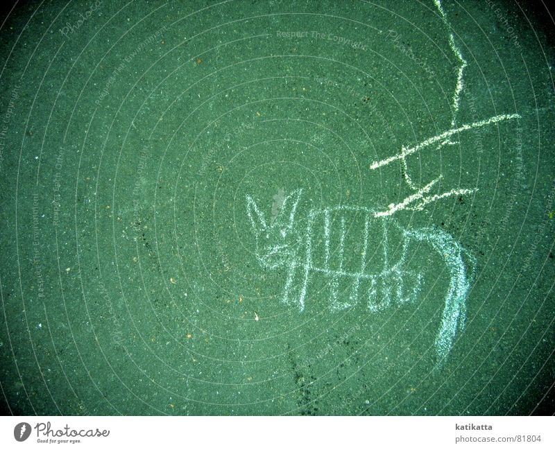 abstrakte malerei Kreativität Fabelwesen Katze Tier Hund grün Asphalt lustig süß Gemälde Streifen Bürgersteig Spielen Spielzeug streichen drollig Linie