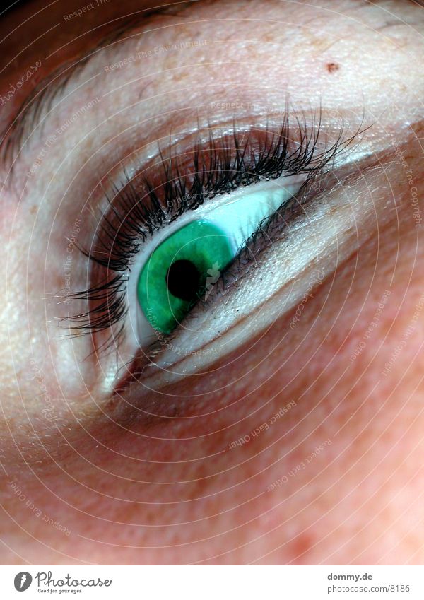 greenEye feminin grün Kontaktlinse Wimpern Makroaufnahme Nahaufnahme Auge hatu