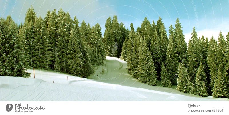 Esto ha pasado a la historia - Schnee von gestern Ferien & Urlaub & Reisen Winter Berge u. Gebirge Natur Landschaft Luft Himmel Eis Frost Baum Wald kalt blau