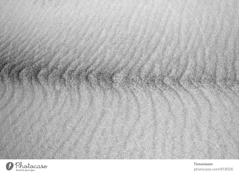 Dünensenke. Ferien & Urlaub & Reisen Umwelt Natur Urelemente Sand Stranddüne Dänemark ästhetisch einfach groß grau schwarz Gefühle Stress Strukturen & Formen
