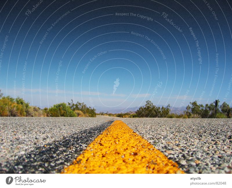 Route 66 Landschaft Sträucher Wüste Straße Autobahn außergewöhnlich frei hell gelb Joshua Tree Asphalt Nationalpark Kalifornien Los Angeles Richtung USA Ferne
