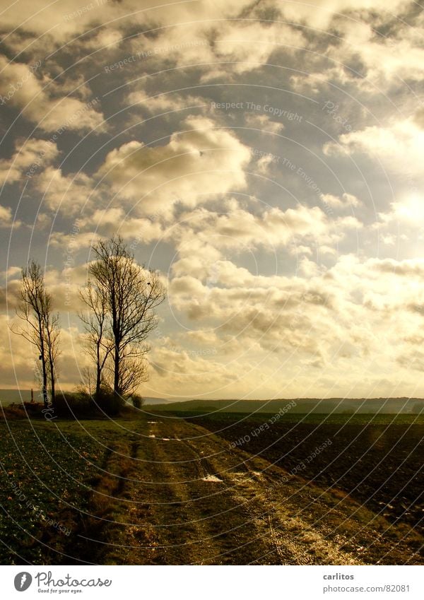 Deutschland - ein Wintermärchen ? Wolken Baum grün Feld braun Horizont ruhig Fluchtpunkt Landwirtschaft schweigen Gelassenheit Wetter Himmel blau Erde