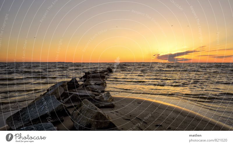 am Haff Natur Landschaft Himmel Wolken Horizont Sonnenaufgang Sonnenuntergang Frühling Wetter Schönes Wetter Wind Wellen Küste Strand Bucht Ostsee blau braun