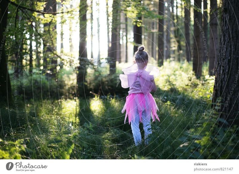 frühlingsfee Mensch feminin Kind Mädchen Kindheit 1 3-8 Jahre Umwelt Natur Sonnenlicht Frühling Sommer Schönes Wetter Wald entdecken leuchten Spielen wandern