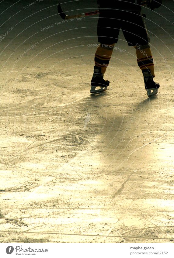 abwehrarbeit Feldhockey Schlittschuhe Eishockey stehen kalt Wintersport Freizeit & Hobby Mann Finale Spielen begegnen Lichteinfall Eisstadion
