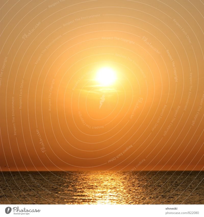 Schönes Wetter Urelemente Luft Wasser Wolkenloser Himmel Horizont Sonne Sonnenaufgang Sonnenuntergang Sonnenlicht Sommer Nordsee Meer Lebensfreude