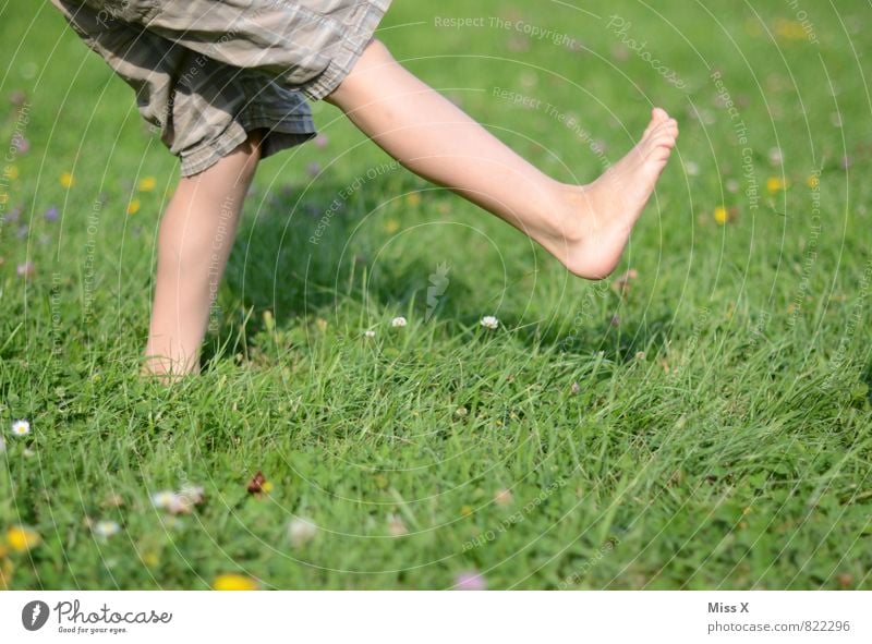 Kick Spielen Garten Sport Ballsport Mensch Kind Kleinkind Beine Fuß 1 1-3 Jahre 3-8 Jahre Kindheit Sommer Wiese laufen frisch Gesundheit Barfuß treten Farbfoto