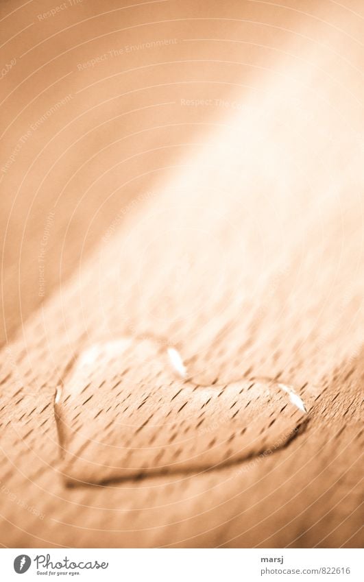 Herzförmiger Wassertropfen auf Buchenbrett |kost.bar | mein Herz Liebe Verliebtheit elegant symbolisch Valentinstag Ehe Zeichen natürlich Kitsch Holz schön