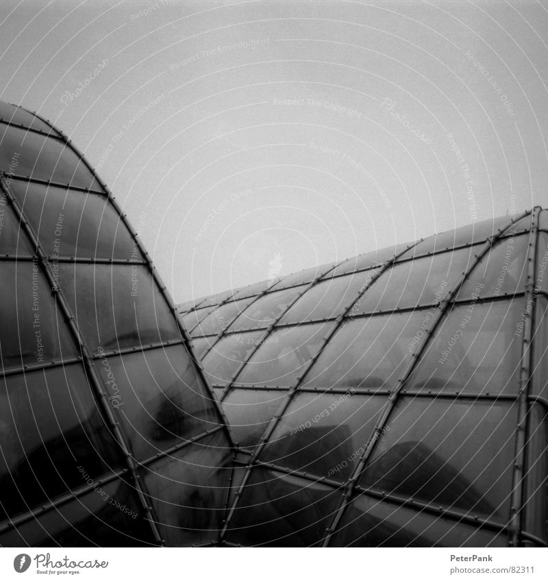 graz 3/03 (2) Glasbläser Haus schwarz Gebäude März Österreich Botanik Gewächshaus steil Quadrat Spiegel Reflexion & Spiegelung grau streben Fenster pflanzlich